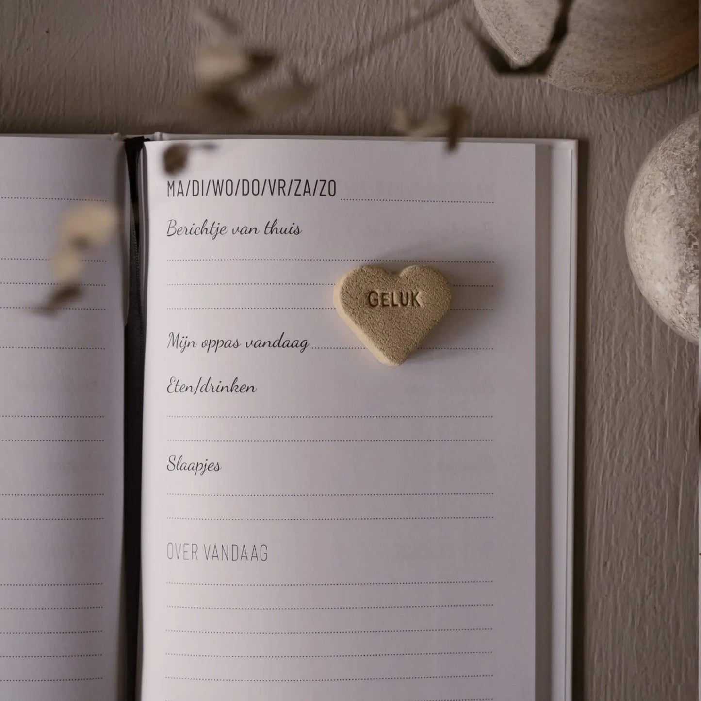 Invulboek Oppas | Zo was mijn dag