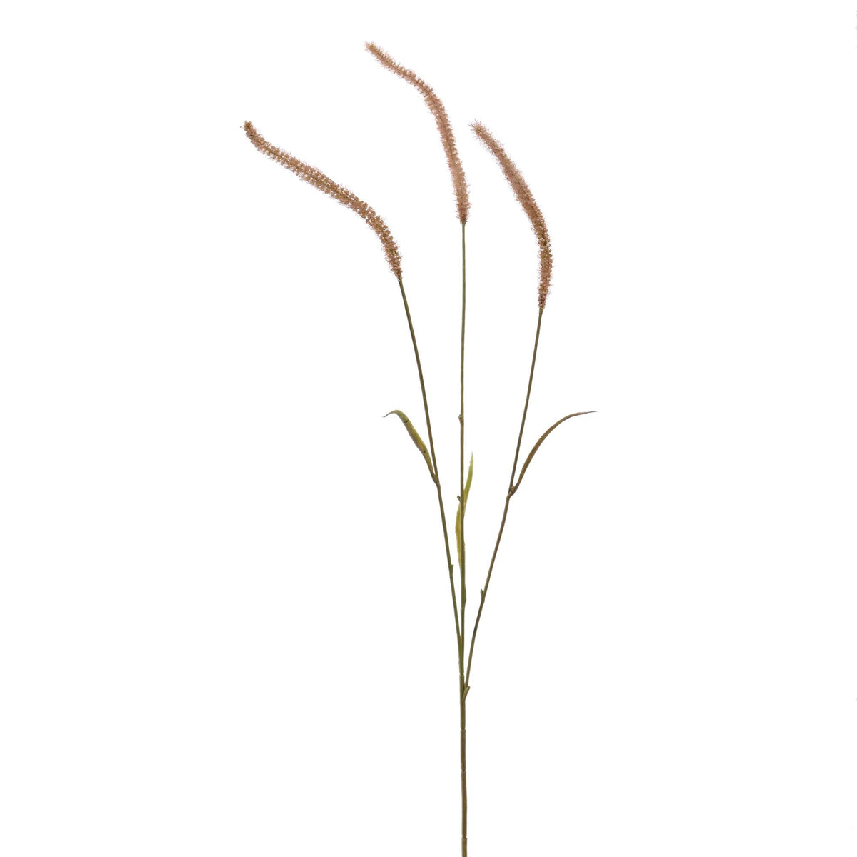 Zijden setariagras bruin 82 cm, zijden bloem