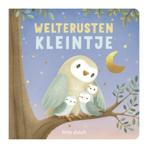 Boekje Welterusten Kleintje (NL) van Little Dutch