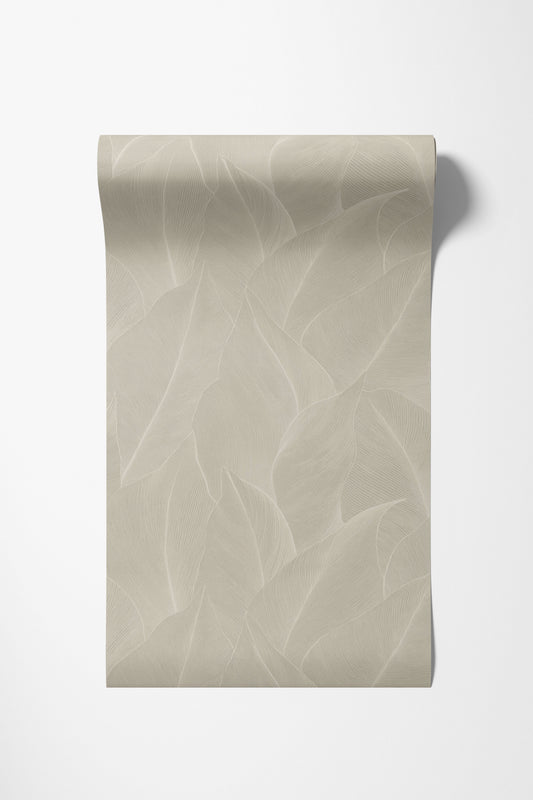 Essence - Anthurium Cream