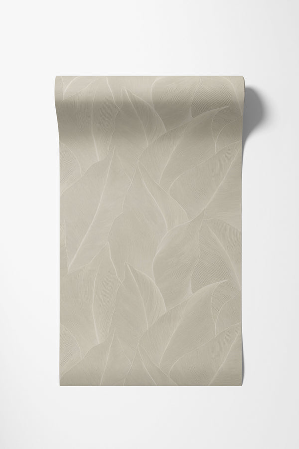 Essence - Anthurium Cream