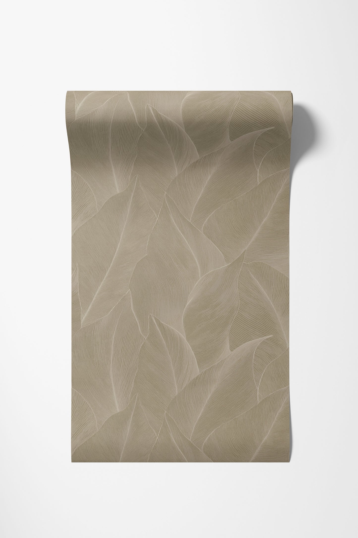 Essence - Anthurium Beige