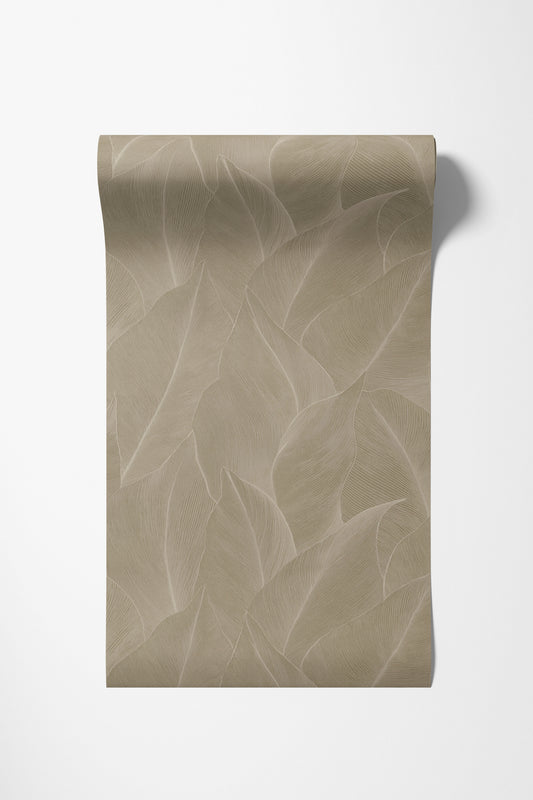 Essence - Anthurium Beige