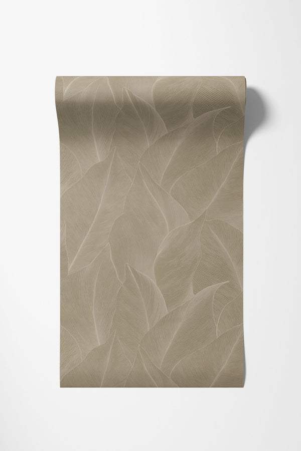 Essence - Anthurium Beige