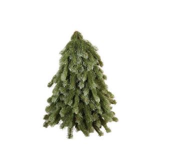 Nobilus kerstboom 30 cm in groen en grijs