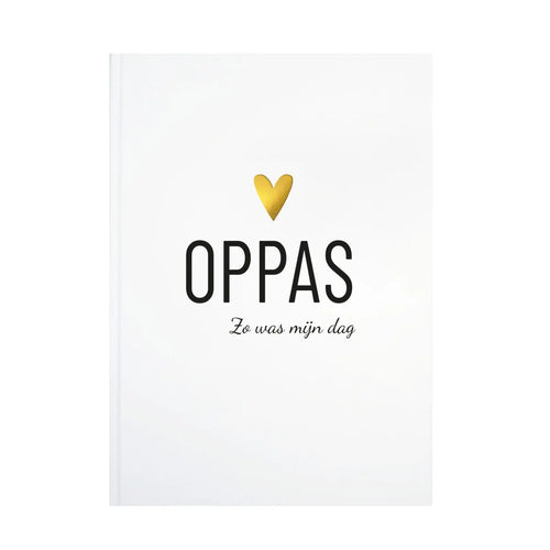 Invulboek Oppas, Zo was mijn dag