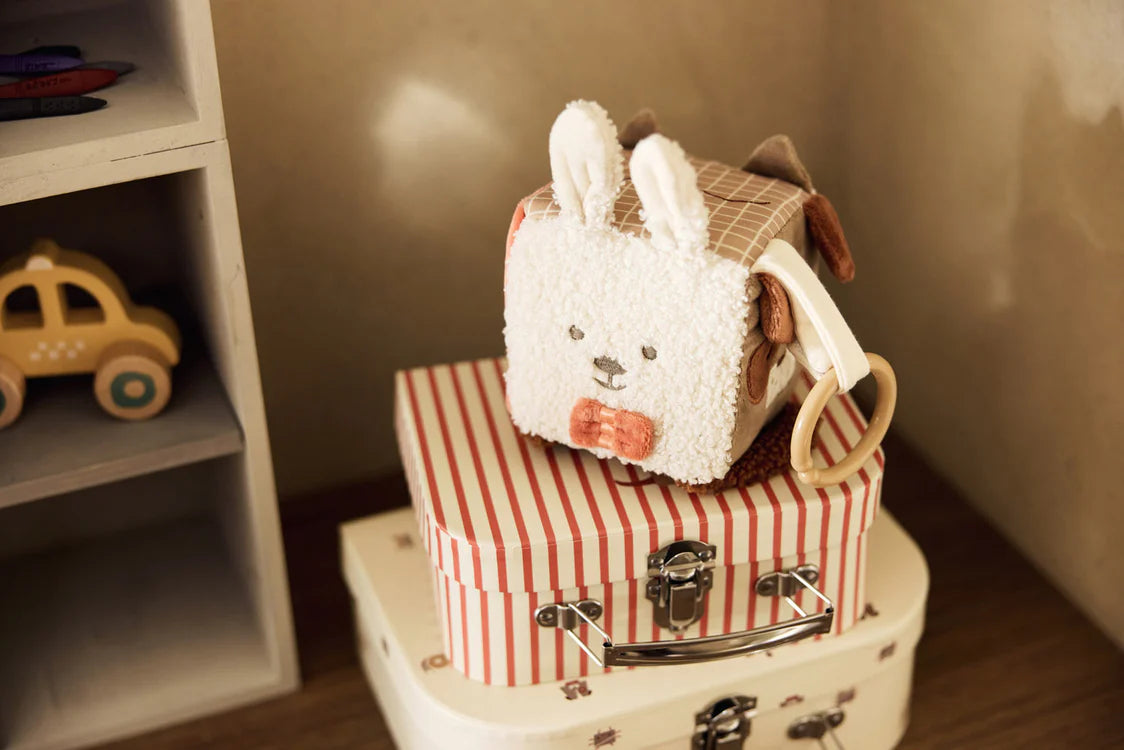 Jollein Activiteitenkubus - Animal Friends