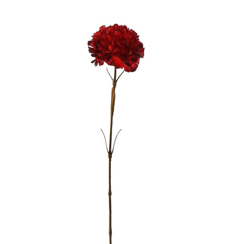 Zijden anjer rood 55 cm, zijden bloem