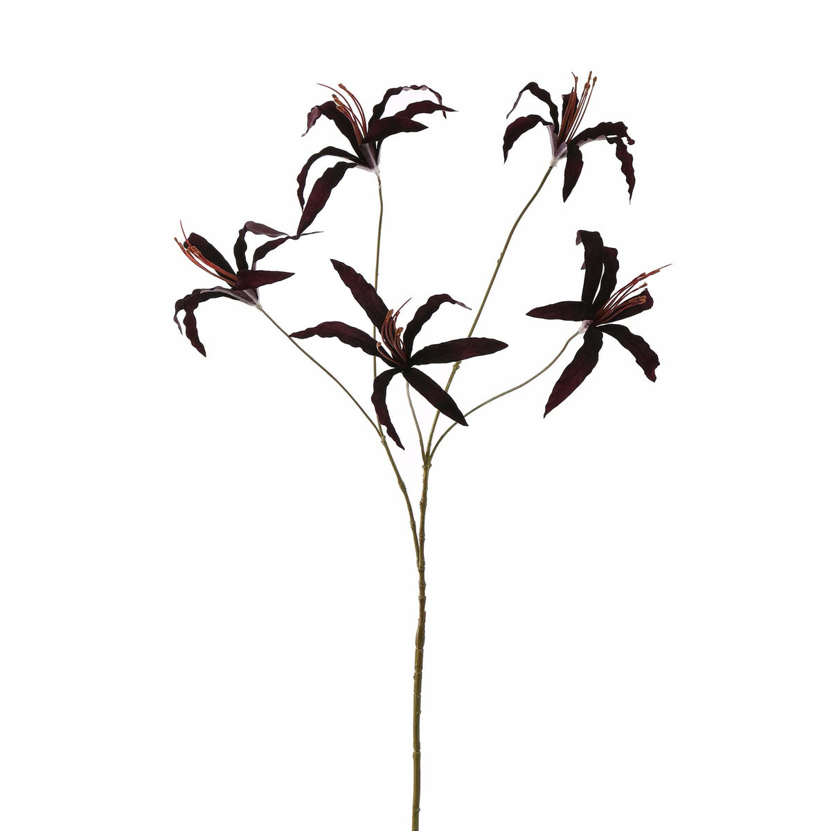 Zijden lycoris radiata bordeaux 84 cm, zijden bloem